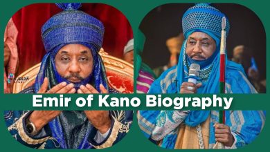 Muhammadu Sanusi II Biography